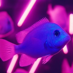 NEON FISH.mp3