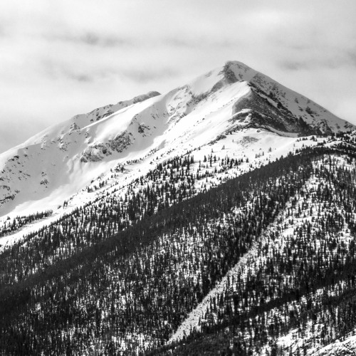 POKLYPZ - STALKER (FREE)