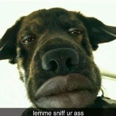 IamAliar