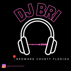 Dj Bri - In my Feelings mix