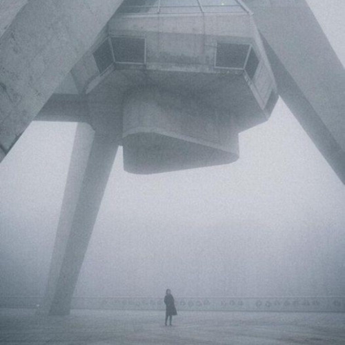 Light rays travel home