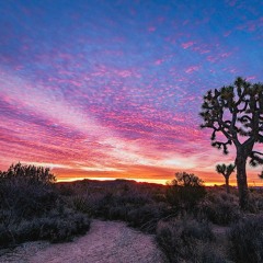 Live at Burning Bear 2023 Sunday Sunrise Set