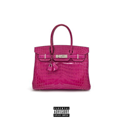 Birkin Bag (feat. jayvghn) (prod. iBurntmylungs)