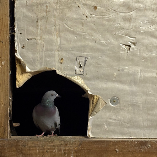 You Might [Also] Like (v.3)