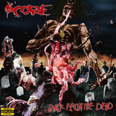 Back From The Dead