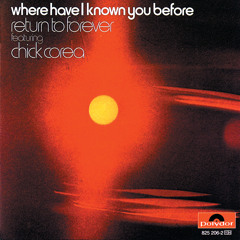 Where Have I Loved You Before (feat. Chick Corea)