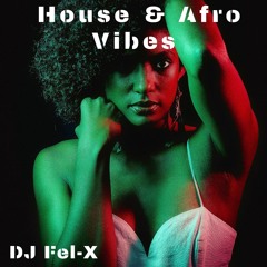 House & Afro Vibes  Mix DJ Fel-X
