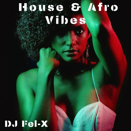 House & Afro Vibes  Mix DJ Fel-X