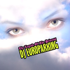 PREMIERE: DJ Europarking - Penniless Tonight  [ UFO Inc. ]