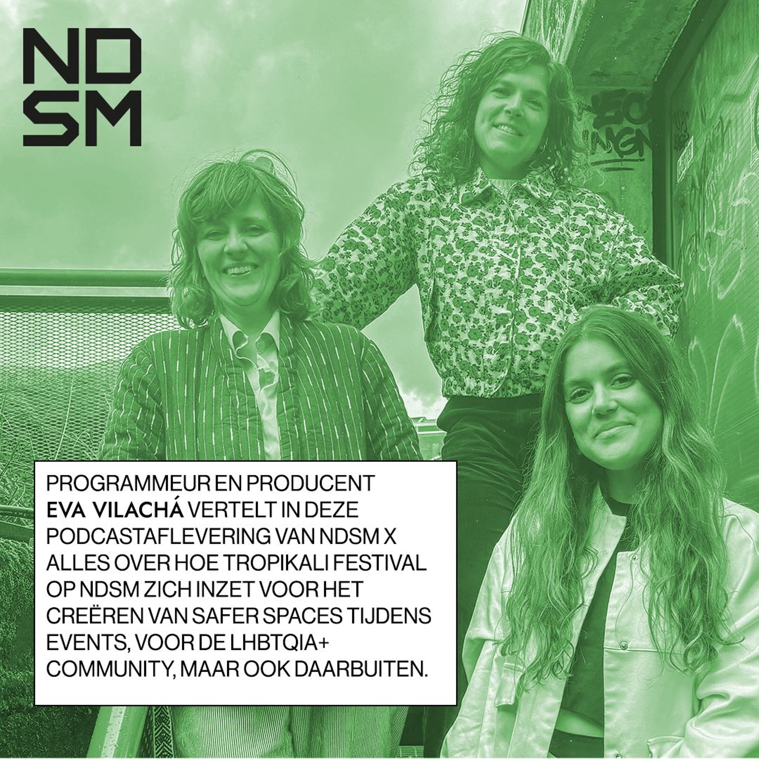 NDSM X