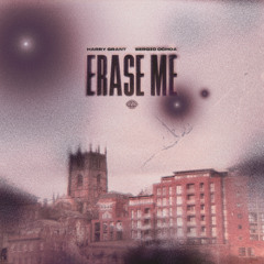 Harry Grant, Sergio Ochoa - Erase Me