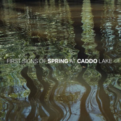 NATURAL STATES CADDO LAKE