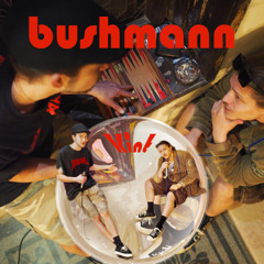 !Kint - feat. Bushmann