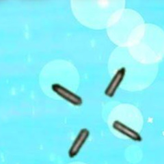 Slurpy Swamps (Nostalgia)