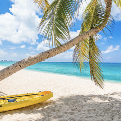 Shawty (prod. Blessed Cross)