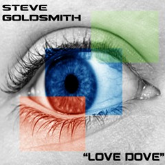 Steve Goldsmith "Love Dove"  BANDCAMP EXCLUSIVE
