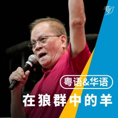 在狼群中的羊（粤语&华语）02/02/2024