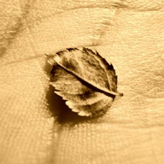 Sfonk - Падащи листа (REMIX by ELEM)