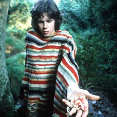 road (with more instruments) - nick drake
