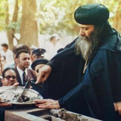 My Throbbing Heart - قلبي الخفاق