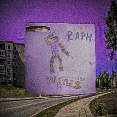 rawdemo3