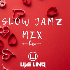 SLOW JAMZ MIX ( Mixed By Live LinQ)