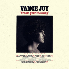 Vance joy