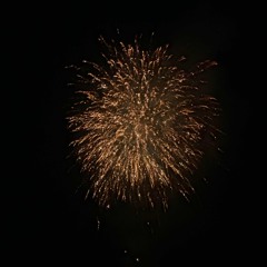 Sheeps in the dark (cover/remix)