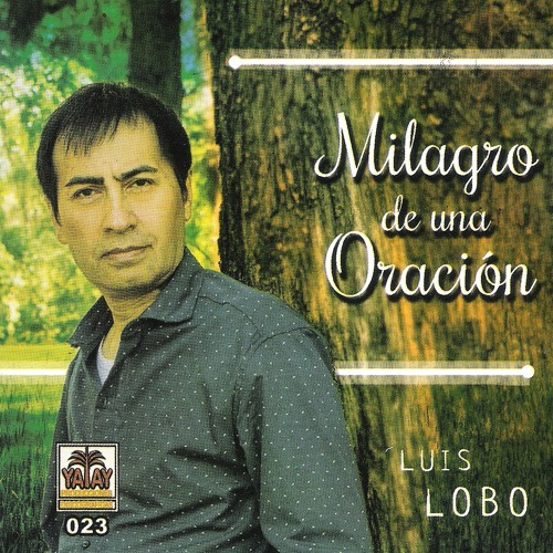 Stream Catalina by Luis Lobo Listen online for free on SoundCloud