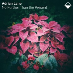 Adrian Lane - And Tapers Burned