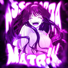 MONTAGEM - ASSOMBRA MATRIX 2