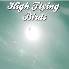 High Flying Birds