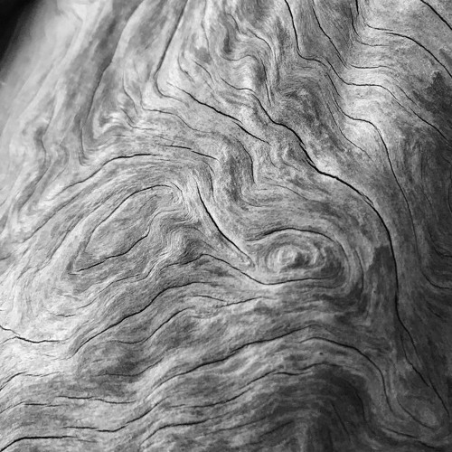 Tree Of Hundreds (live)