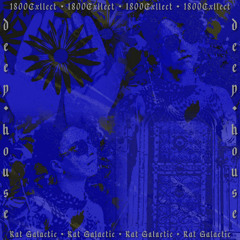 1800Cxllect Series | 022 | Rat Galactic