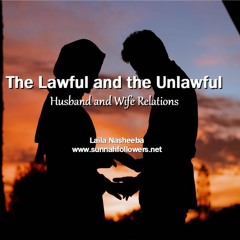 The Lawful and Unlawful - Relations between the Spouses