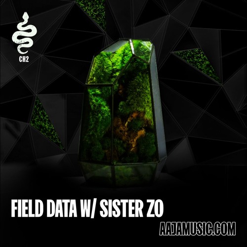 Field Data - with Field Motion (First Half) & Sister Zo (Second Half) [28/08/24]