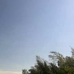 sundaymorningfreestyle