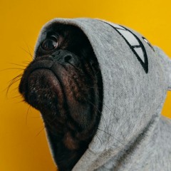 Ugly Dog Blues