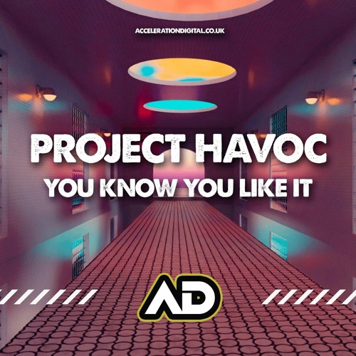PROJECT HAVOC - YOU KNOW YOU LIKE IT (OUT NOW !!!!)