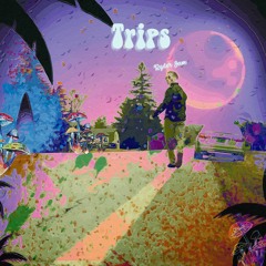 Trips (Prod. LUCASQUINN, UNKWN, & Ryder Jam)