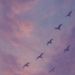 heaven