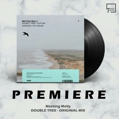 PREMIERE: Meeting Molly - Double Tree (Original Mix) [MANGO ALLEY]