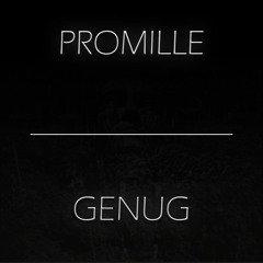 Genug (prod. Sketchmyname X HXRXKILLER)