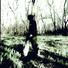 lordPHXg0d ‘ v. two