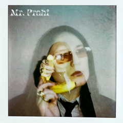 Mr. Prohi