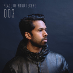 Peace of Mind Techno 003 ('Sunset over Puget Sound' Chart Mix)