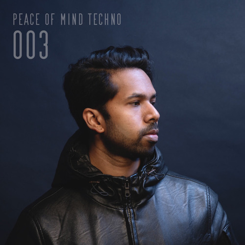 Peace of Mind Techno 003 ('Sunset over Puget Sound' Chart Mix)