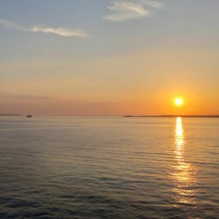 The Warmest Days ✺ 𝔇𝔦𝔤𝔤𝔦𝔫' 𝔦𝔫𝔱𝔬 𝔱𝔥𝔢 𝔠𝔯𝔞𝔱𝔢𝔰 𝔪𝔦𝔵 ✺