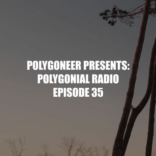 Polygoneer Presents: Polygonial Radio | Episode 35