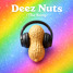 Deez Nuts ( The Song )